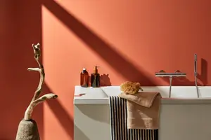 PEINTURE TOUTES PIÈCES 2.5 L TERRACOTTA
