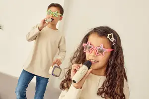 ENCEINTE ET DEUX MICROS