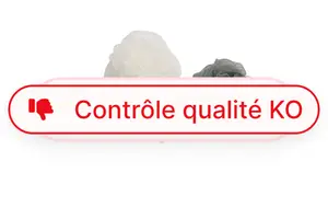 LA BROSSE DE TOILETTE ACTUEL