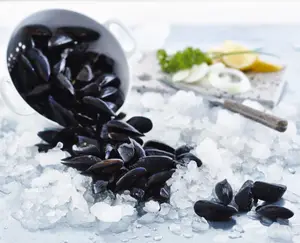 MOULES DE BOUCHOT LABEL ROUGE SPÉCIALITÉ TRADITIONNELLE GARANTIE