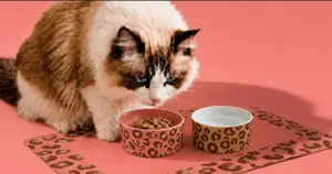 GAMELLE LEOPARD POUR CHIEN ET CHAT TRUF&CO