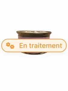 Pâtée au saumon pour chat adulte