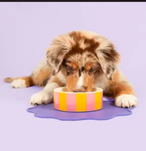 GAMELLE EN CÉRAMIQUE TAILLE S POUR ANIMAUX COOCKOO