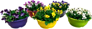 COUPE DE PENSÉES