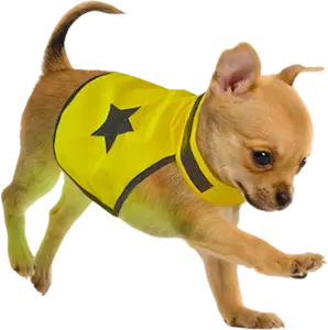 GILET DE SECURITÉ POUR CHIEN FLUO TAILLE S DUVOPLUS