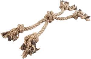 JOUET POUR CHIEN CORDE BRUN DUVOPLUS