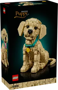 LE CHIOT GOLDEN RETRIEVER