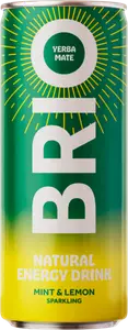 BIO BRIO MATE MENTHE CITRON
