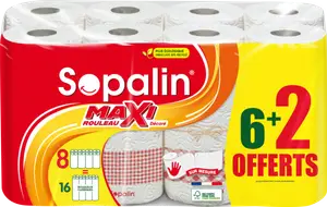 ESSUIE TOUT MAXI SOPALIN