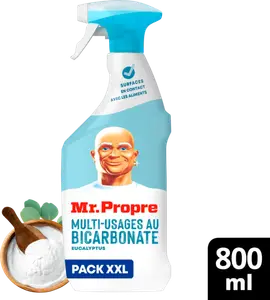 SPRAY NETTOYANT MULTI USAGES MR PROPRE
