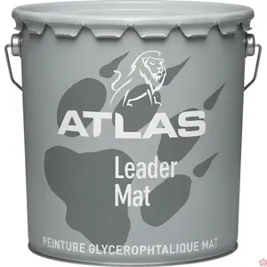 PEINTURE MATE LEADER MAT 5 KG POUR MURS ET PLAFONDS INTÉRIEURS