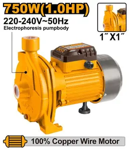 Pompe périphérique 750W INGCO CPM7508