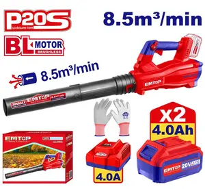 SOUFFLEUR SANS FIL + 2 BATTERIES 4.0AH EMTOP ELAB204282
