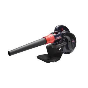 Souffleur aspirateur 800W PB001