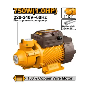 Pompe à eau 750W INGCO VPM75068