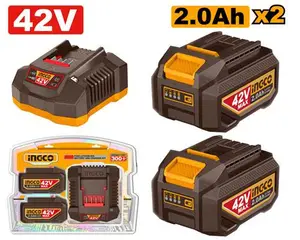 Batterie et kit de chargeur Lithium-Ion FBCPM20221
