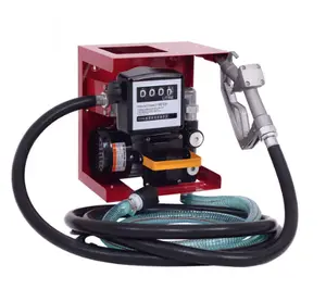 Pompe de Transfert 12 V-24 V-220 V Lngv65