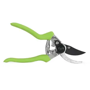 Sécateur De Taille 210Mm « Vito » VITP04