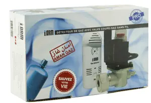 DÉTECTEUR +ELECTROVANNE SANS FIL (KIT COMBO )