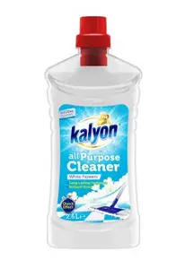 NETTOYANT SOL 2.5 L KALYON REF WF BLANC