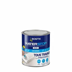 BOSTIK WATERSTOP TOUS TRAVEAUX BLANC EN 1 KG