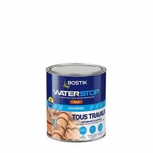 BOSTIK WATERSTOP TOUS TRAVEAUX TUILE EN 1 KG