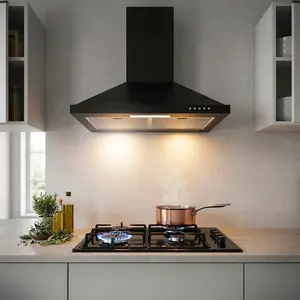DUO HOTTE SD56B+PLAQUE P623