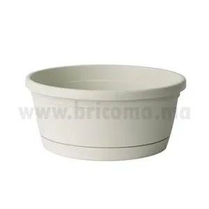 COUPE LIBIS