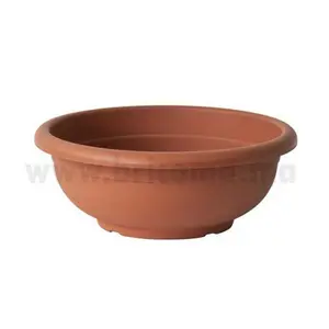 COUPE OLIMPO 25 CM