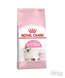 Croquettes Chat kitten