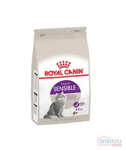 Croquettes chat sensible