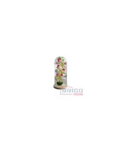 orchidée sous cloche de verre 7815060019