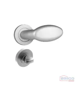 Ensemble poignée/rosace, salle de bain(GRAND)