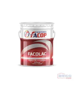 Facolac peinture 20Kg 3201010083