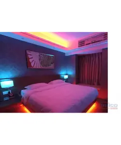 Ruban LED double 12 mm RGB ,(1 mètre) 1880853135