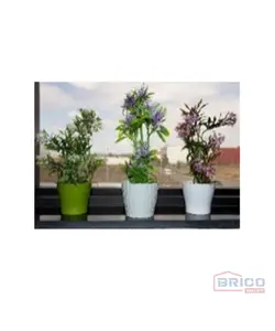 Pot de fleurs 7815060029