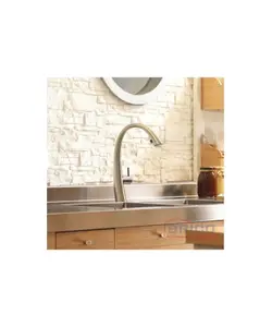 Mitigeur pour cuisine Chromé 2308280056