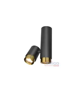 Spot (SI-30; GU10*2; IP20)