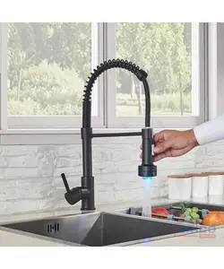 Mitigeur Essor simple pour évier noir 2308280012