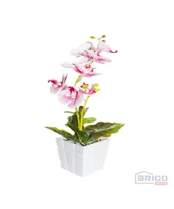 Pot orchidée en plastique (10.5 cm) 7815060035