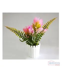 Pot Costa Rica en plastique (6 cm) 7815060021