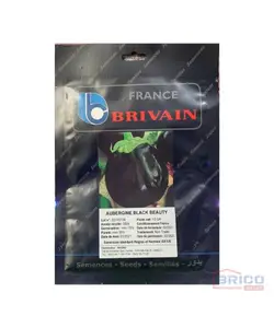 Aubergine Black Beauty Brivain 10G 7821060010