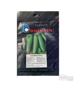 Concombre poinsett Brivain (10GR) 7821060025