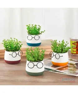 Fleurs artificielles en pot ( lunettes ) 7880127549