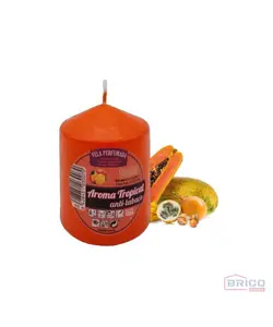 Bloc bougie parfumée (12*6 cm)