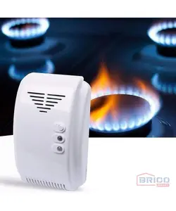 Détecteur avertisseur de gaz 1880875014