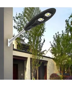 Eclairage publique noir led - 6500K