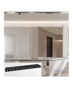 Spot LED Bristol Noir Pour Rail Magnétique M101