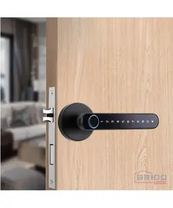 Serrure Digitale Biométrique Smart SW1 Noire 1880880204