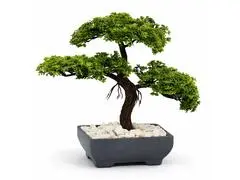 Pot Plastique Gris avec Arbre Artificiel Bonsaï